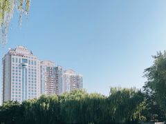 -团结湖公园