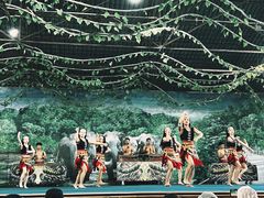 -野象谷景区