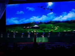 -南京奥林匹克体育中心-体育馆