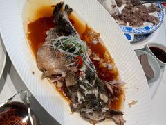 -巴音浩日娲酒楼(双林东路店)