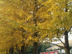 -辽宁大学(崇山校区)