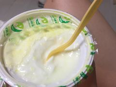 -德禄酸奶(莫家街店)