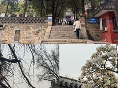 -泰山风景名胜区-普照寺