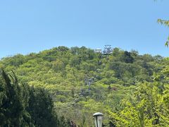 -富斯特索道