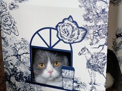 -霸王茶姬(上海静安大悦城店)