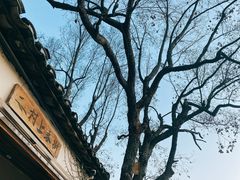-村上春树
