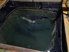 -蓝湾碧波·老字号·疍家非遗海上餐厅