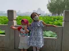 -北京市海淀区锦绣明天莲宝幼儿园