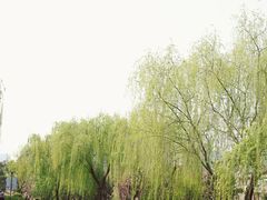 -西安青龙寺遗址景区
