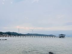 -汕尾风车岛