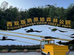 -西双版纳原始森林公园
