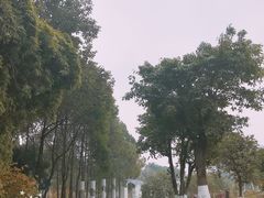 -沙河三洞古桥公园