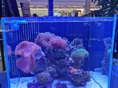 -红星美凯龙(北京北四环店)