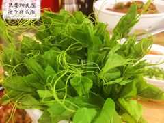 豌豆尖-好彩猪肚鸡(正弘城店)