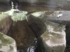 -成都市活水公园
