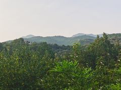 -红螺寺