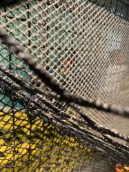 -泡泡米POPOME益智乐园(洪殿花园旗舰店)