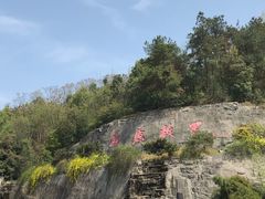 -屈原故里文化旅游区