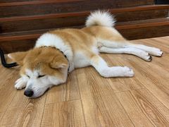 -YCHL Studios健身工作室(市二宫店)