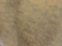 -布瑞琳洗衣(新城国际一期店)