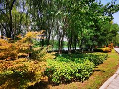 -西安汉城湖景区