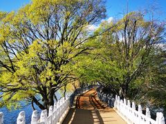 -清溪水库