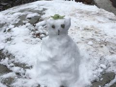 -硗碛藏寨·神木垒景区