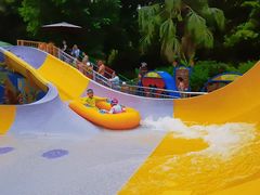 -重庆海昌加勒比海水世界