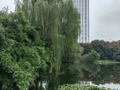 -后襄河公园