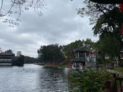 -荔湾湖公园