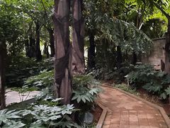 -昆明洲际酒店