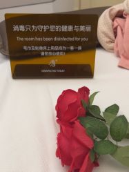 -雅曼妮spa美容养生