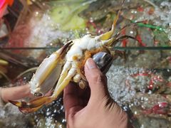 -羊栏农贸市场(羊新路店)