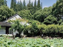-上海醉白池公园