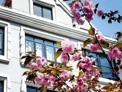 -上海市第三女子中学