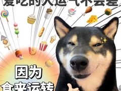 -三百碗宝应长鱼面(板仓街店)