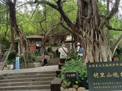 -胡里山炮台