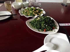 东大特种渔场-特种渔场