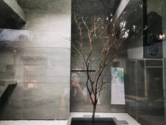 -凤凰御元艺术基地