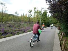 -贵阳市花溪国家城市湿地公园