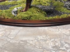 -1718海鲜姿造(苏宁宴请臻选店)