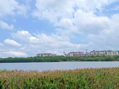 -华侨城湿地公园