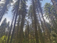 -硗碛藏寨·神木垒景区