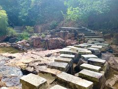 -广州白江湖森林公园