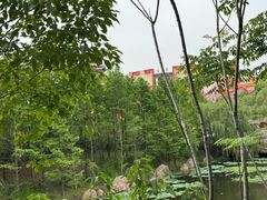 -芜湖方特东方神画