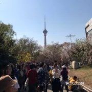 黄金周逛北京必看景点攻略3