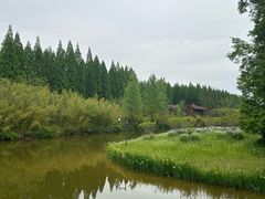 -黄海国家森林公园