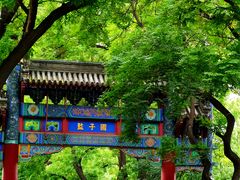 -北京国子监胡同