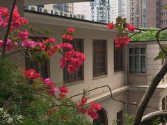 -香港大学