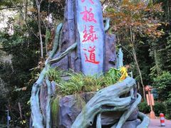 -东莞市大岭山森林公园